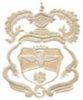 Domaine San Micheli Logo